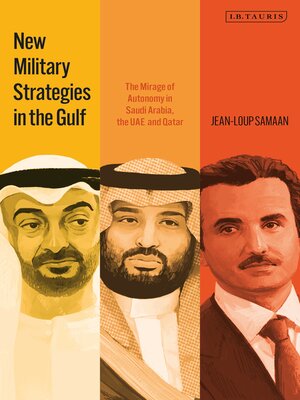 cover image of New Military Strategies in the Gulf